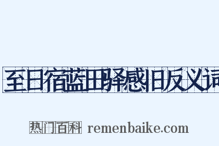 至日宿蓝田驿感旧反义词是什么意思的图片